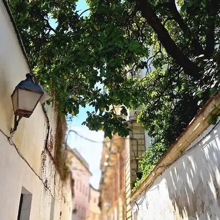 Apartman El Rinconcito De Noa Jerez de la Frontera