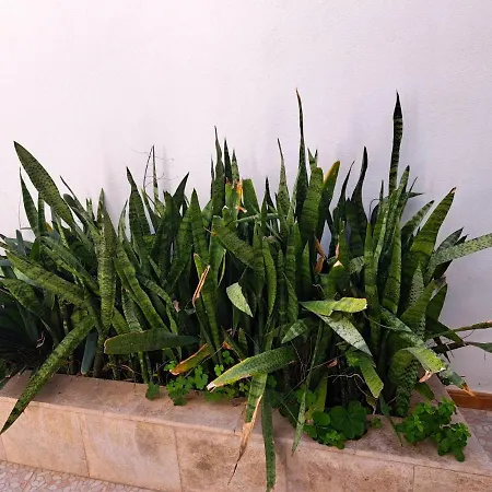 El Rinconcito De Noa Apartman